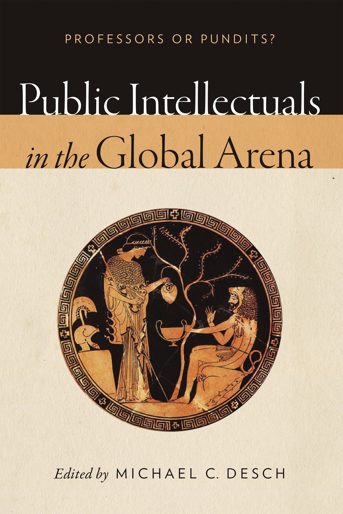 Cover image for Public Intellectuals in the Global Arena ISBN 9780268100261